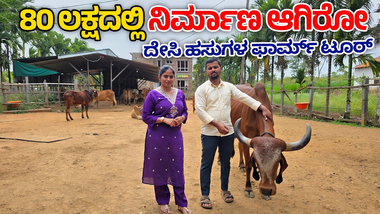 ₹80 lakh cowshed tour! Desi cow farm TOUR | Desi cow farm profitable high-tech Organic Farm information!
