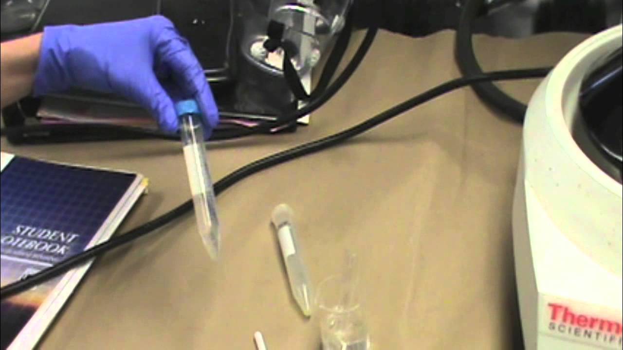 Craig Tube Recrystallization