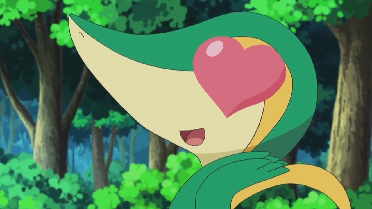 SNIVY SE ENAMORA DE MINCCINO