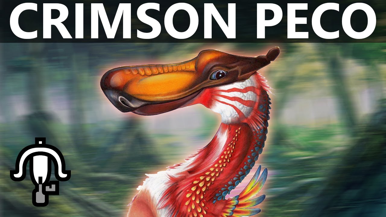 【MH3U】Crimson Qurupeco︱Solo︱2:11︱LBG