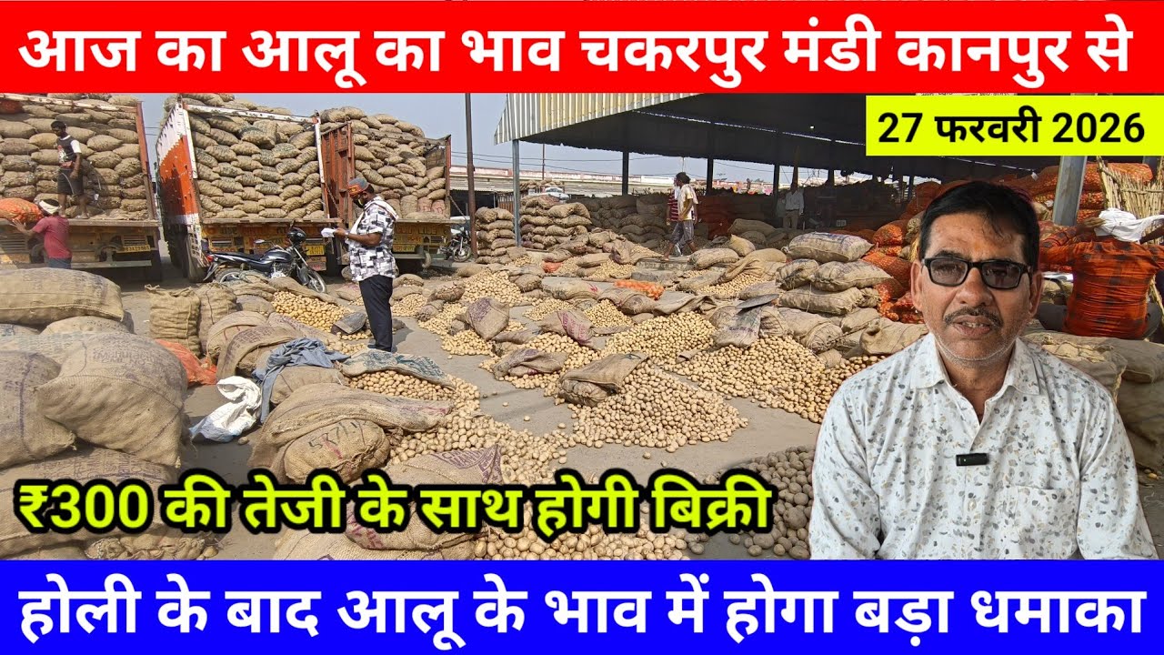 27 फरवरी 2026 /आज का आलू का भाव चकरपुर मंडी कानपुर से ₹300 की तेजी के साथ होगी बिक्री Aalu Ka Bhav
