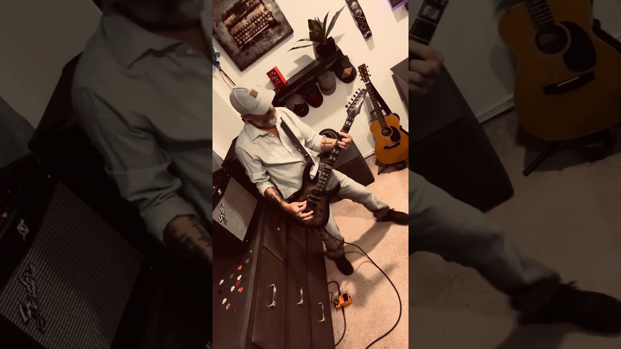 TSOL - Flowers By the Door (Guitar Cover)