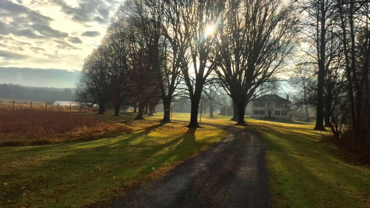 "A Vision" by Wendell Berry