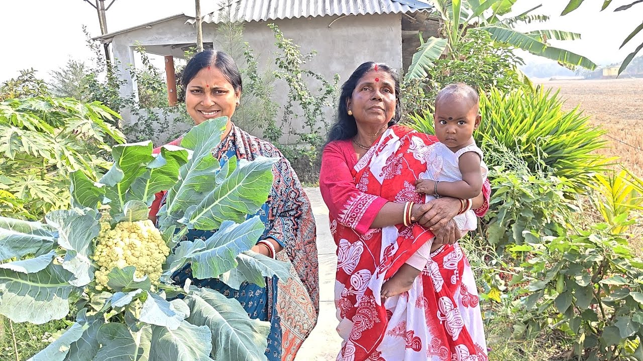 সোনা মা এই প্রথম বার! কাঁচকলা দিয়ে দেশি মাগুর মাছ সাথে বাগানের ফুলকপি চিংড়ি! Sundarban Cooking 