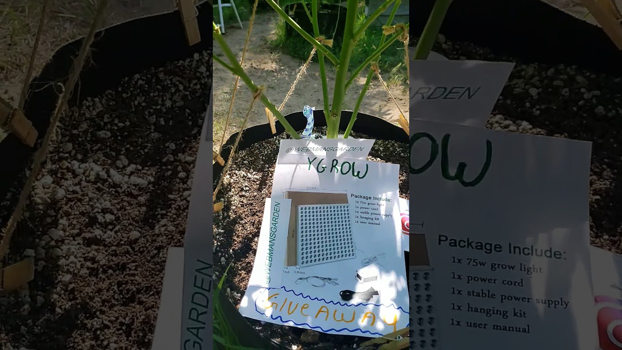 ~Webmans Garden Givaway Announcement~