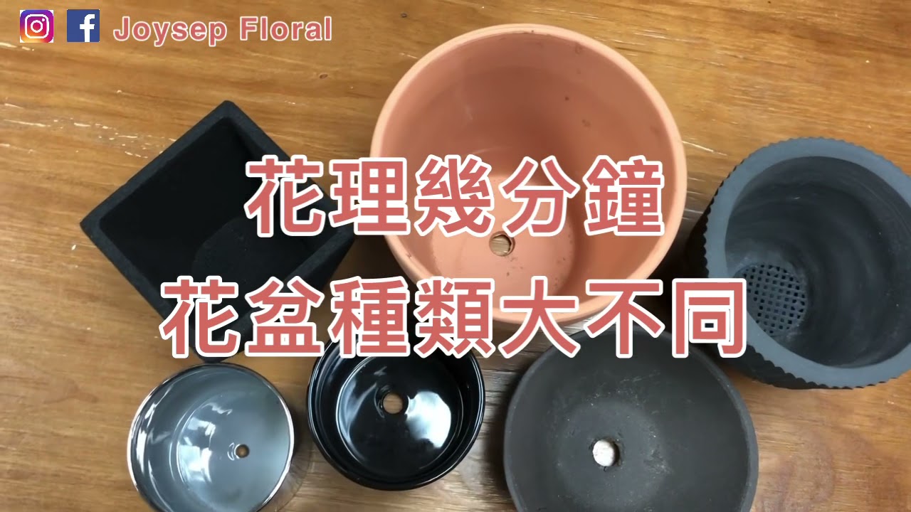 不同材料花盆有不同功效丨如何選擇合適的花盆丨市面常見花盆種類丨花理幾分鐘
