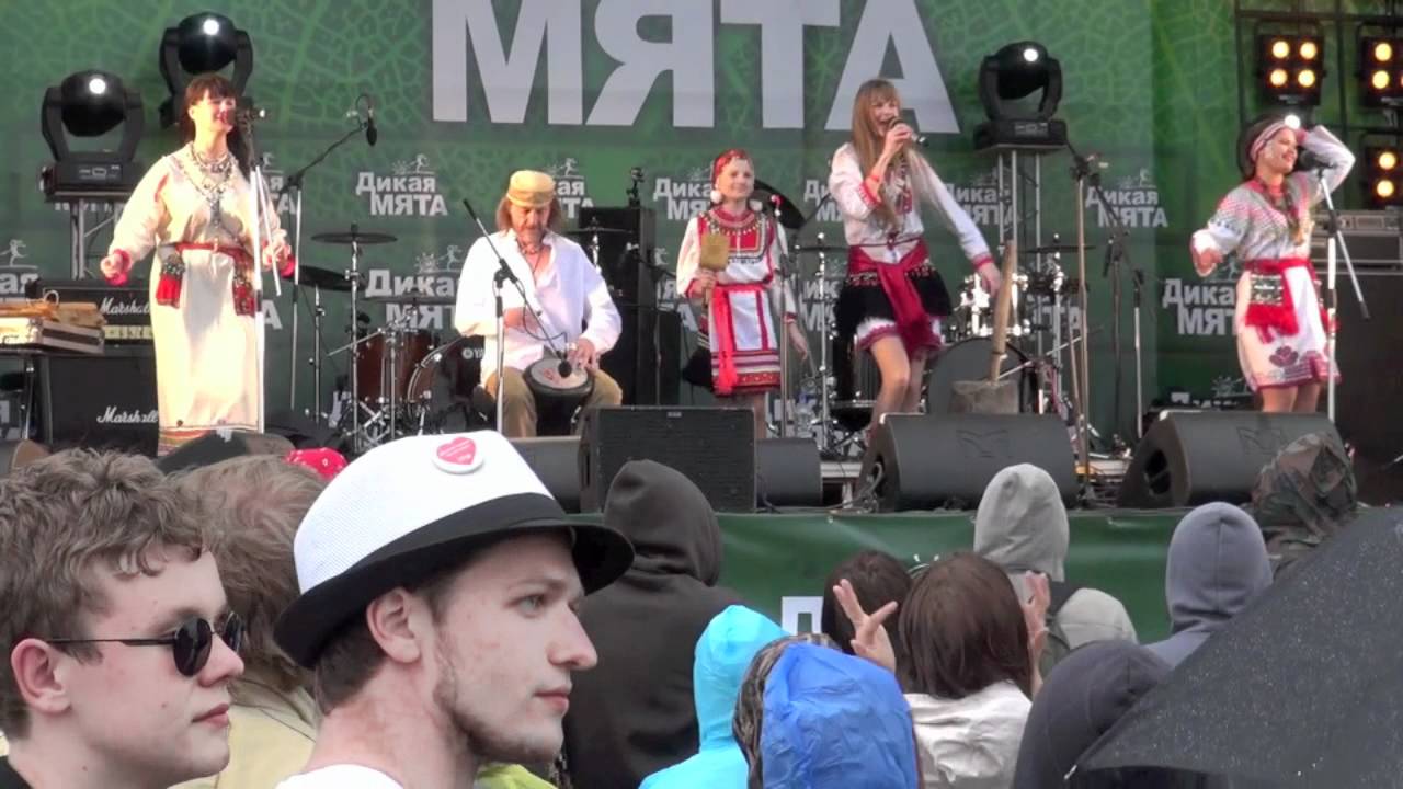 Дикая мята 2012 