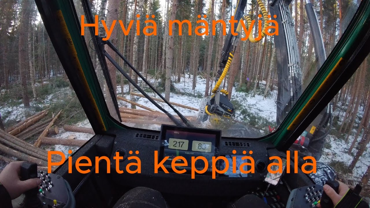 Prosilva S3 & Kesla 19 energia keppiä sekä hyvää mäntyä