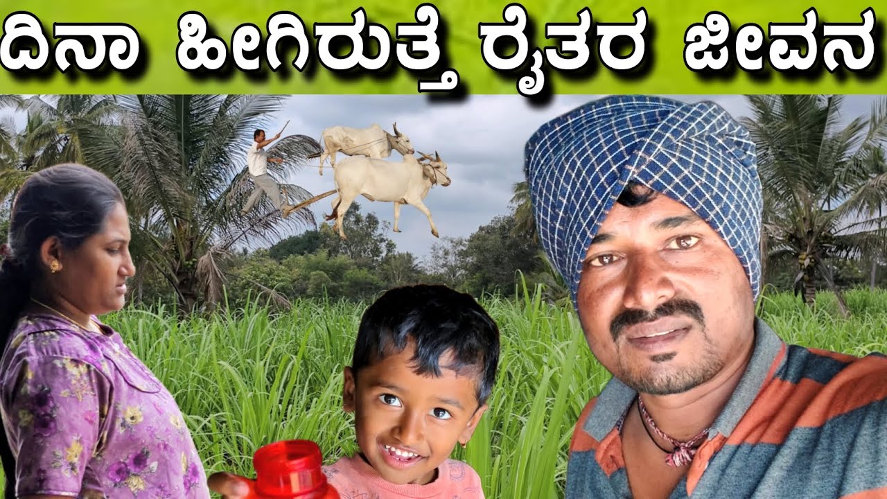 ಕೆಲಸ ಬೇರೆ ಬೇರೆ ಆದರೆ ಓಡಾಟ ಆದರೆ ಹಳ್ಳಿ ಜೀವನ ಶೈಲಿ ಹೀಗಿರುತ್ತದೆ 👳🙏 #sakkarenadukempa #ಈರೇಗೌಡನಕೊಪ್ಪಲುಕೆಂಪ 