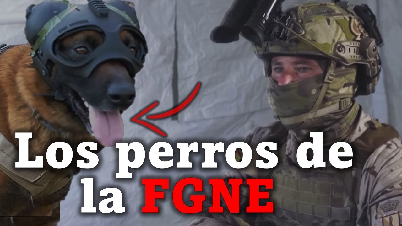 🎙️Perros de INTERVENCIÓN en las Fuerzas Especiales de la Armada