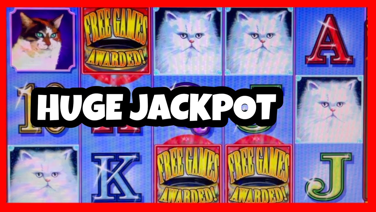 BEST SLOT TO WIN MONEY ON - KITTY GLITTER HIGH LIMIT MAX BETS