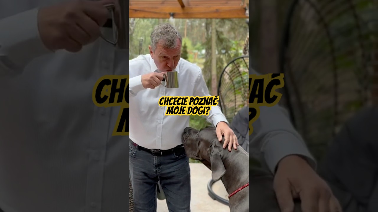 Kulisy ostatniego filmu. Chcecie poznać moje dogi?☺️ #dog #dogniemiecki #pies