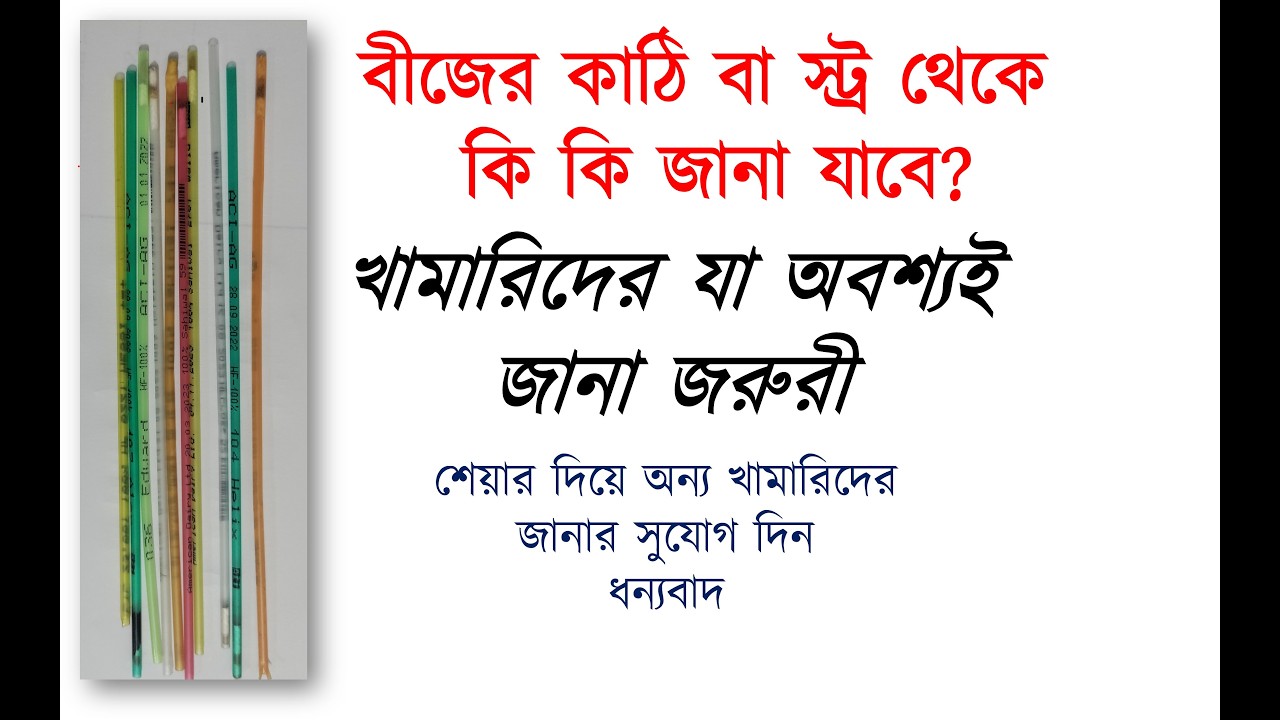 বীজের কাঠি বা স্ট্র থেকে কি কি জানা যাবে, কোন রেকর্ড কিভাবে রাখবেন?