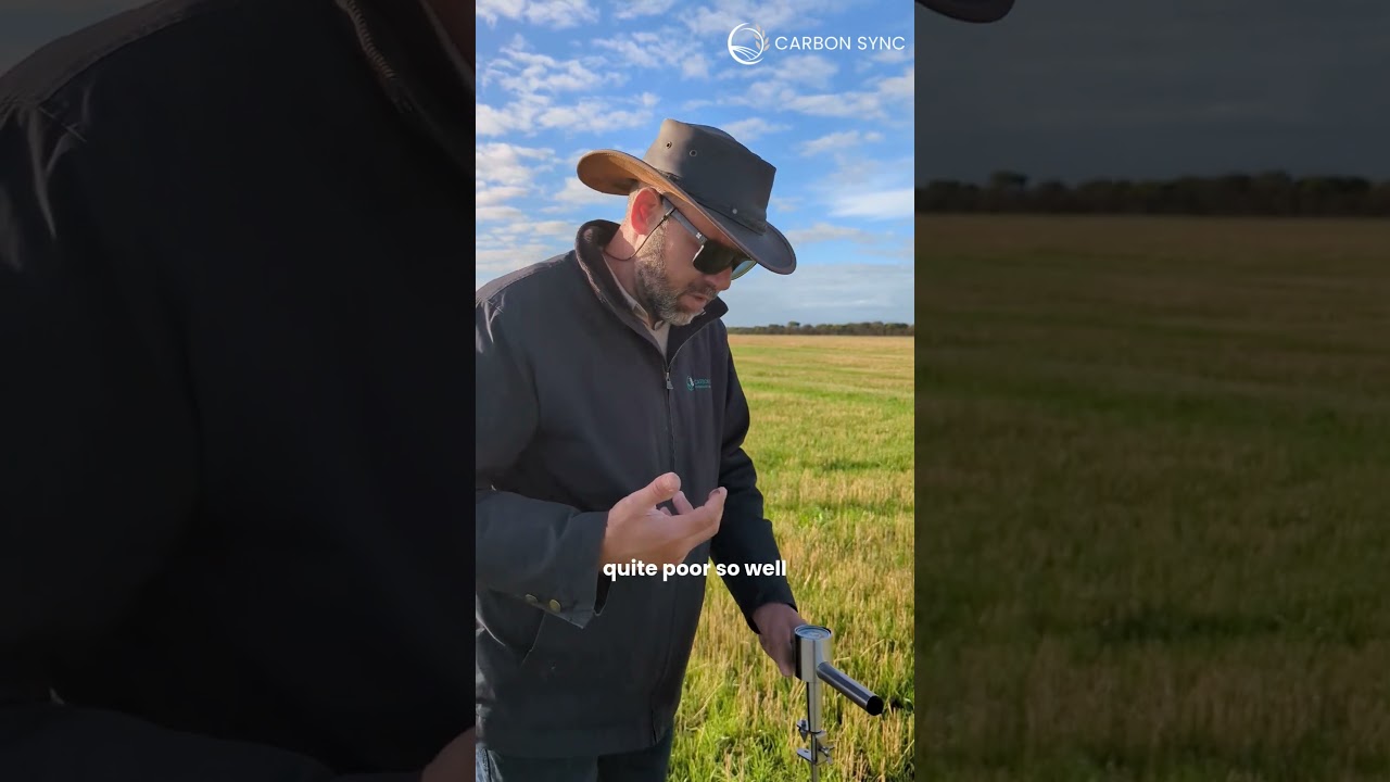 Using a Penetrometer to measure soil density in Western Australia #carbonsync