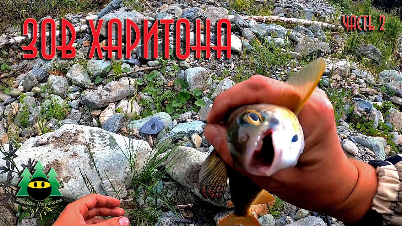 Зов Харитона. Часть 2.