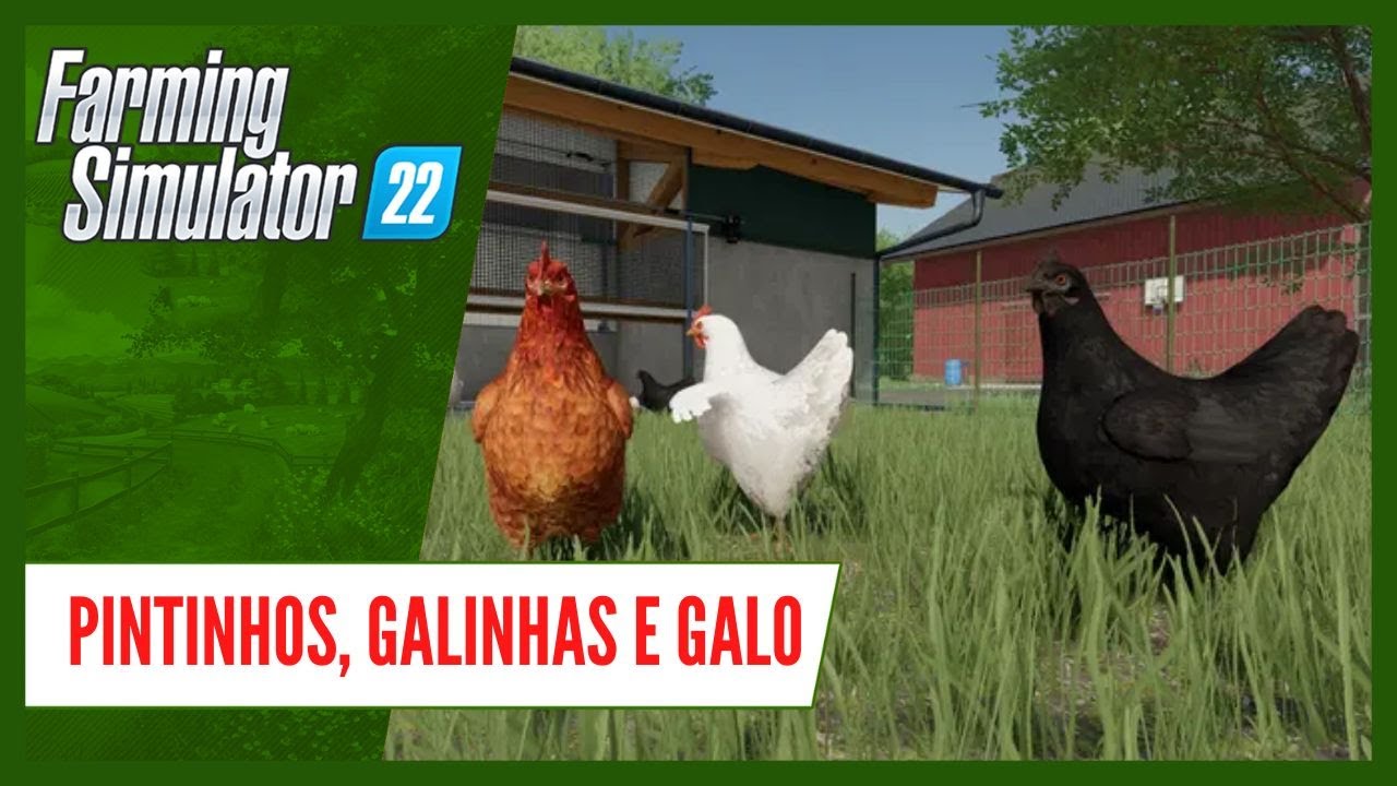 Galinhas: Compra, alimentação e criação no FARMING SIMULATOR 22