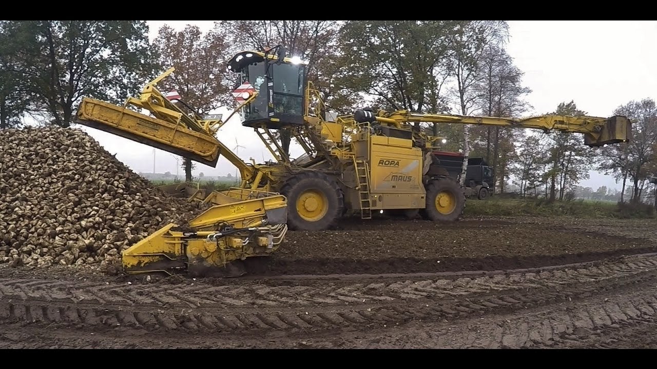 ROPA Euro Maus 5 | Rüben verladen | Cabview | LKW | MAN | Iveco | Volvo | Fendt Vario | GoPro | HD
