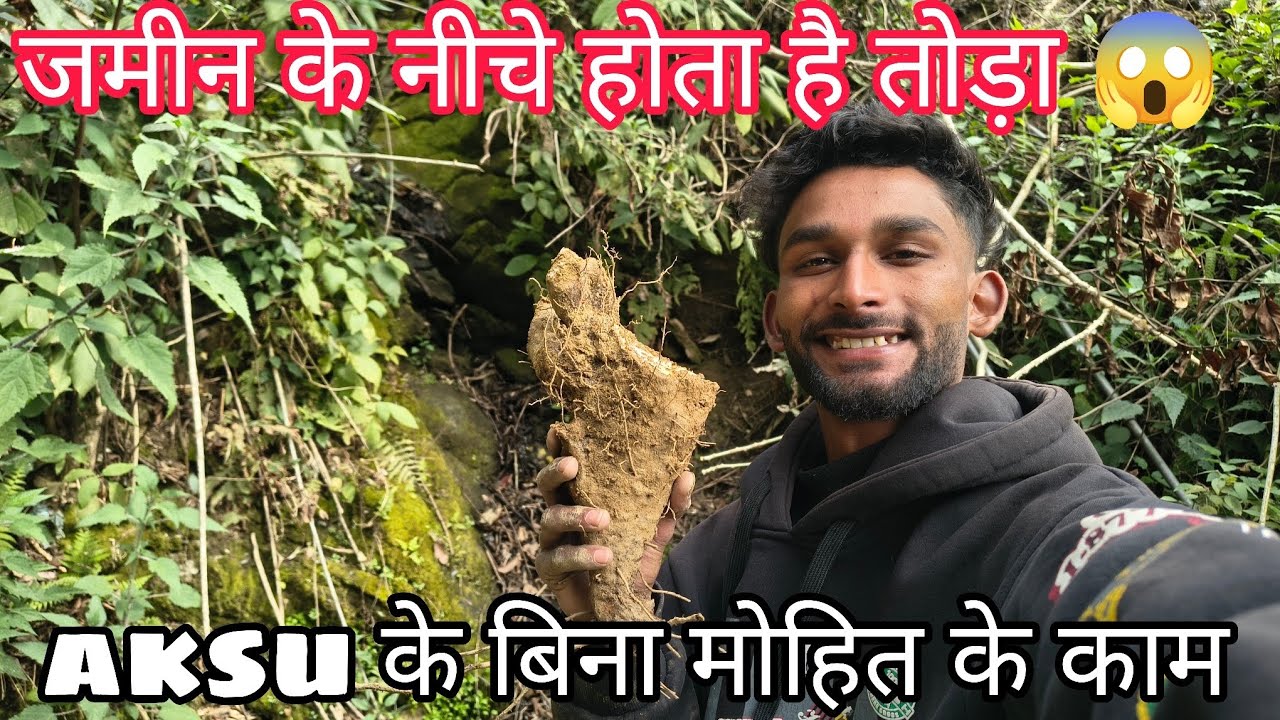 Akshu घर पर नहीं है। और के काम 