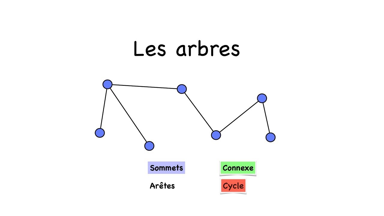 Les arbres : une classe remarquable de graphes