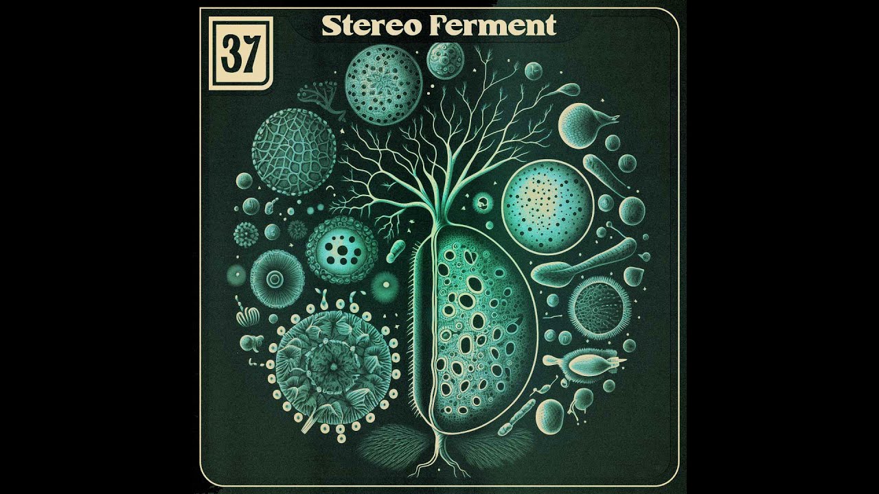 Balearic, Cosmic, Left-Field, Disco | Stereo Ferment EP37