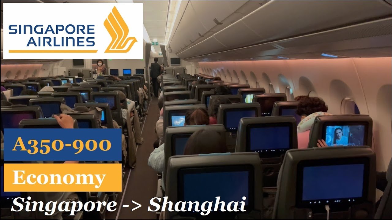 Singapore Airlines A350-900 - Singapore (SIN) to Shanghai (PVG) - SQ826 Economy - Trip Report #118