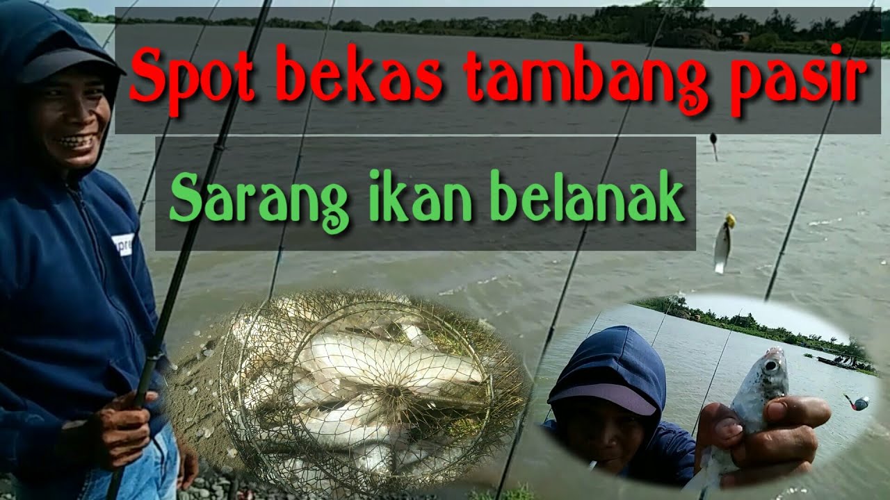 Mancing ikan belanak di muara pantai trisek jogja!bekas tambang pasir sungai progo!BANYAK SAMBARAN!