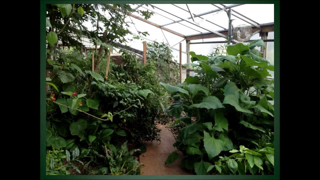 Indoor Forest Gardens Using Low Energy Climate Battery Technology