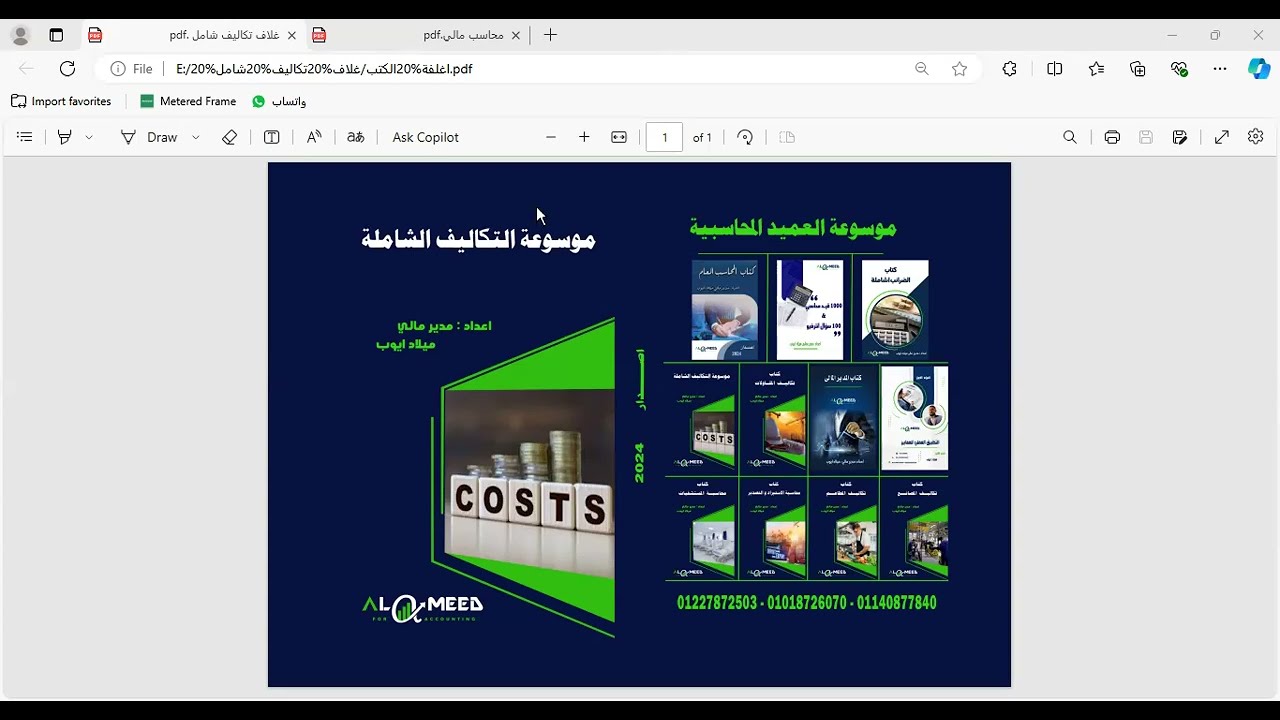 كل تفاصيل شغل الحسابات مع مدير مالي ميلاد ايوب 2024