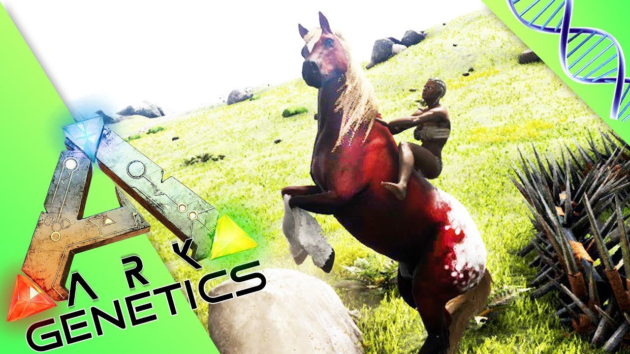 ARK GENETICS : LES MUTANTS ! PONEYS !!! /44