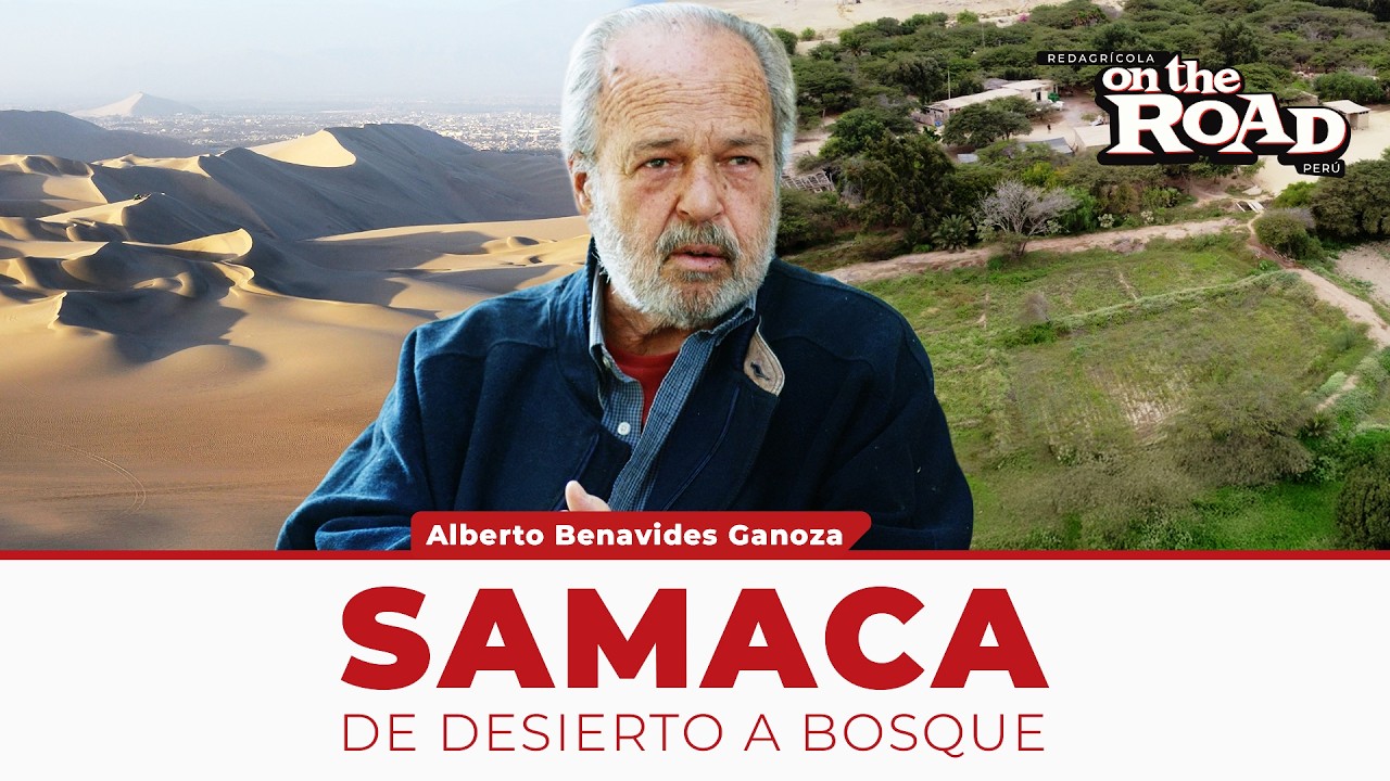 Samaca: Un desierto convertido en bosque.
