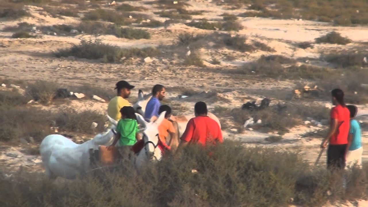 البحرين : سباق بر سار الشعبي 7-6-2014