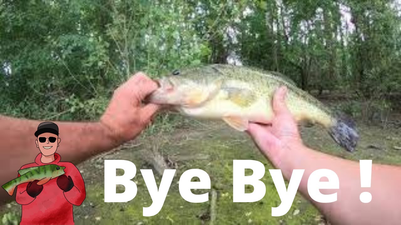 Ce Blackbass nous dit au revoir à sa façon