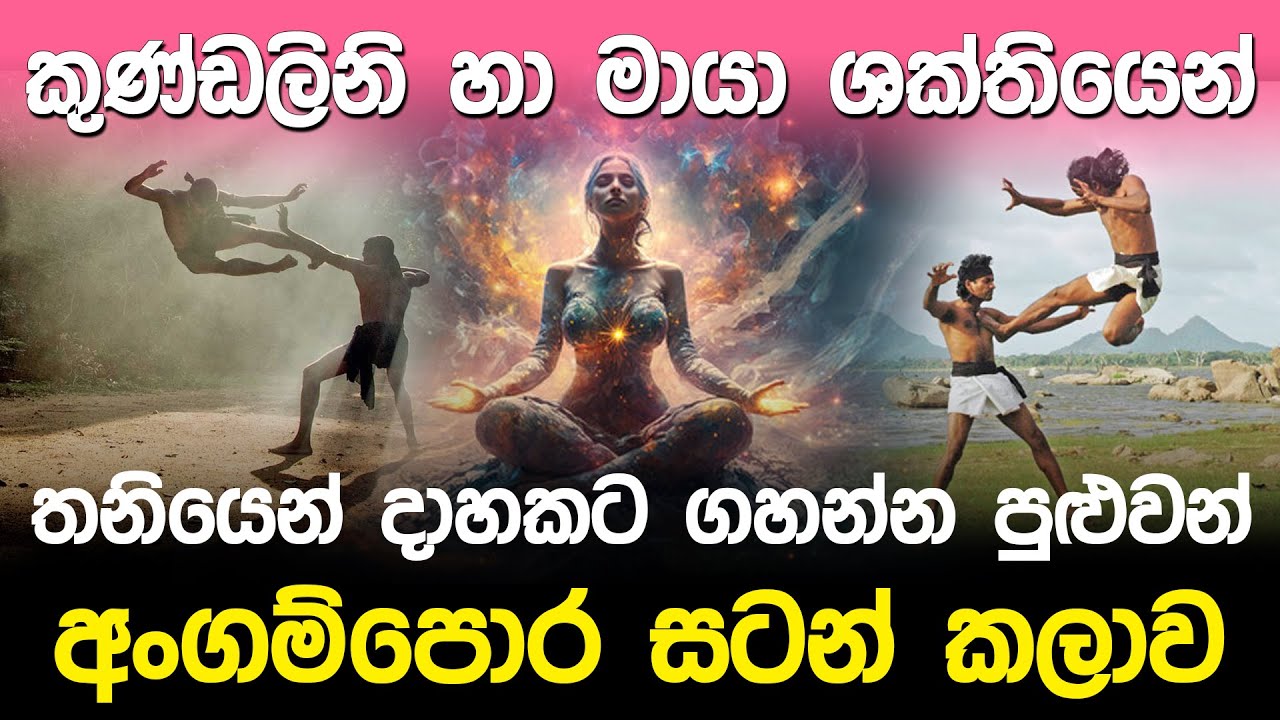 තනියෙන් දාහකට ගහන්න පුළුවන් අංගම්පොර සටන් කලාව | Angampora Sri Lanka |