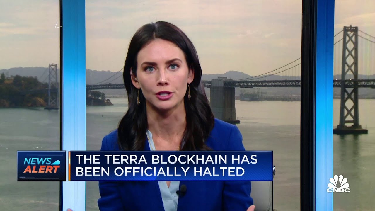 Terra Blockchain officially halted