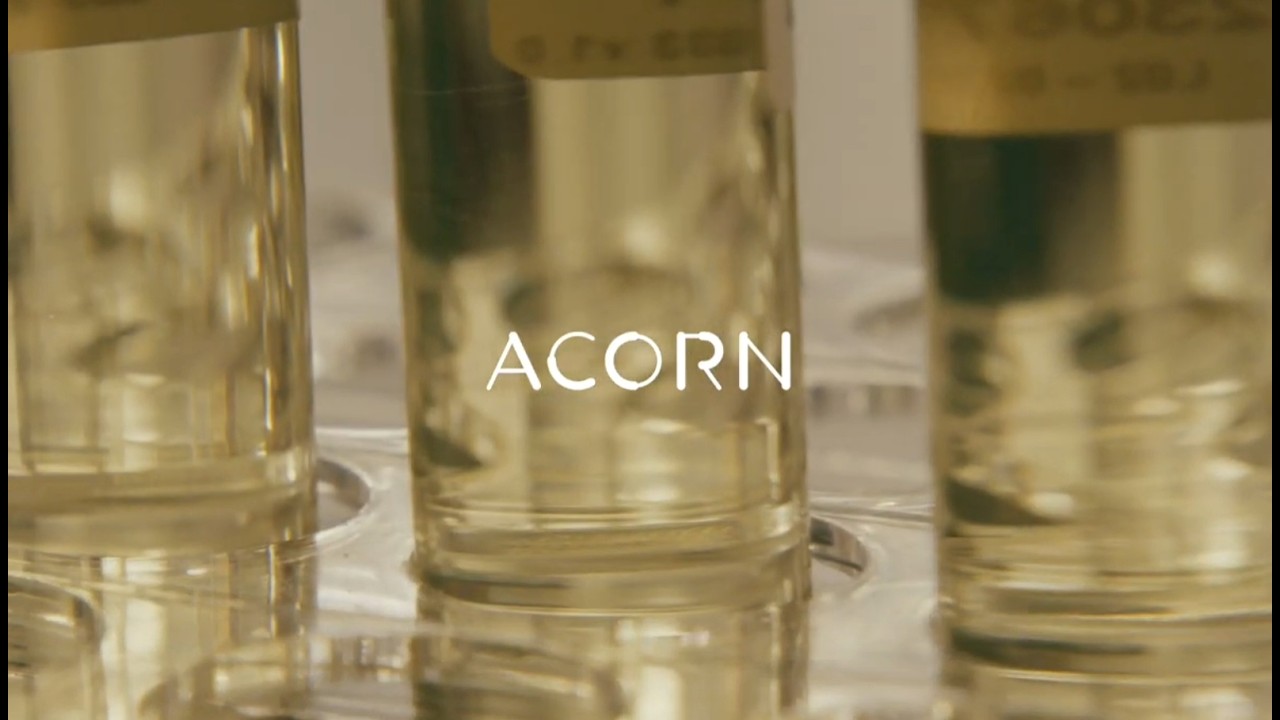 Inside Acorn Biolabs: Where the Cell-Based Future Is Built
