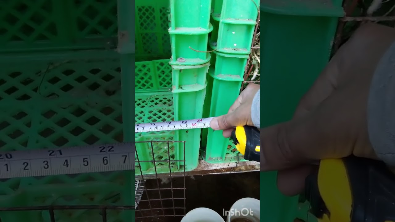 Innovadora idea confeccionando jaulas de cajas plásticas para conejos #conejos #cunicultura