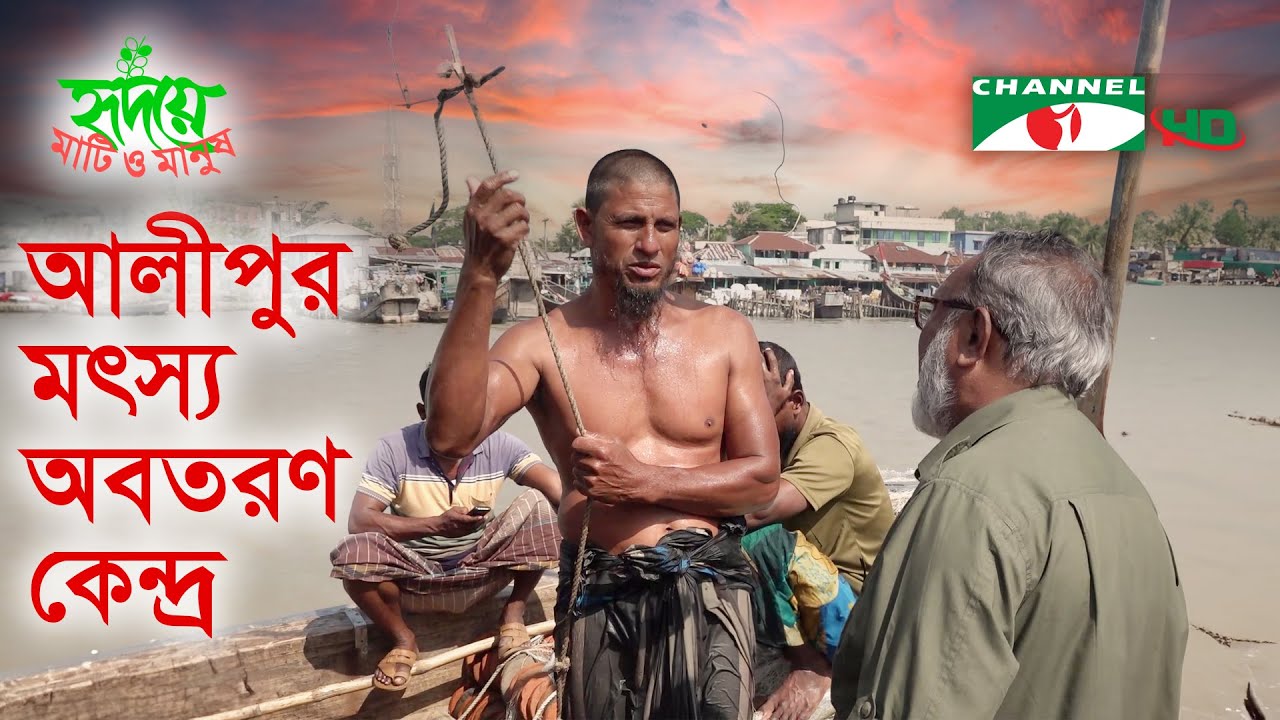 আলীপুর মৎস্য অবতরণ কেন্দ্র | Shykh Seraj | Channel i |