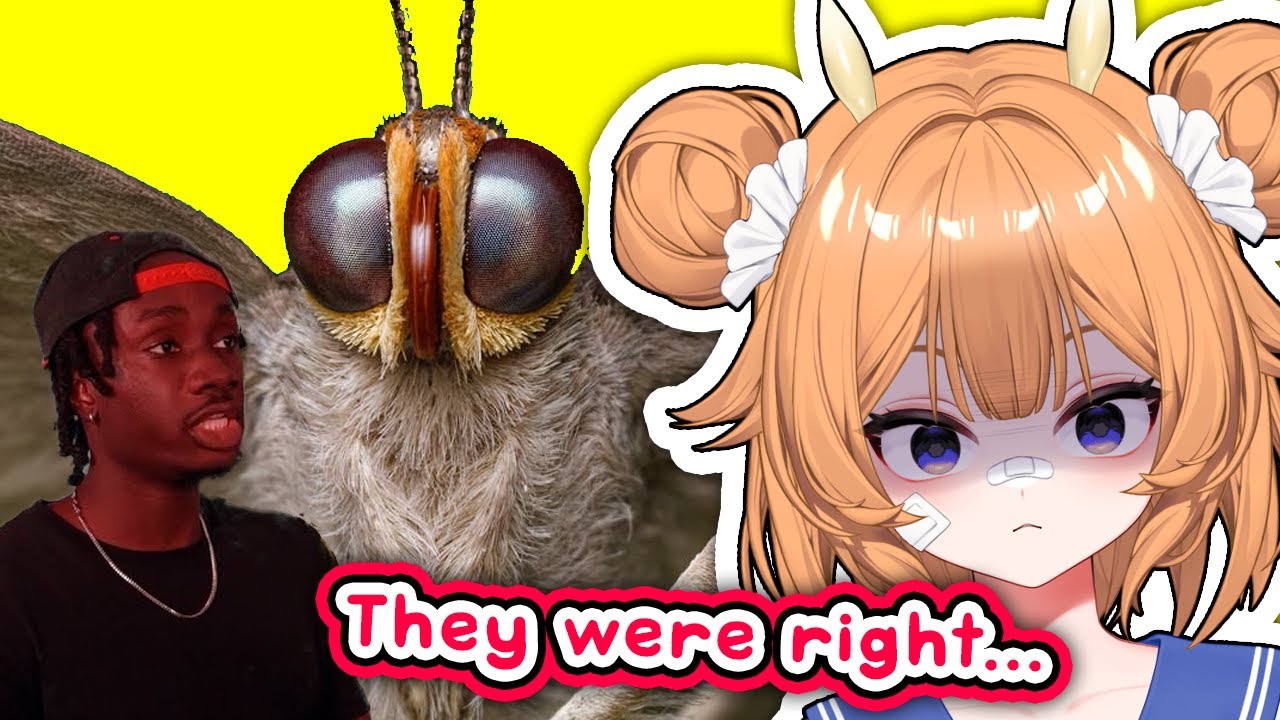 Butterflies are actually SCARY?? | Snail Vtuber reacts to Casual Geographic