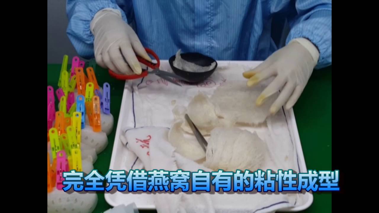 清洗燕窝程序 Birdnest Cleaning Process -永乐燕工坊