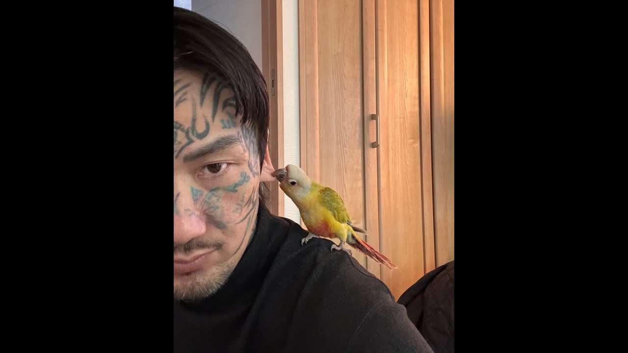 雑談するだろ
