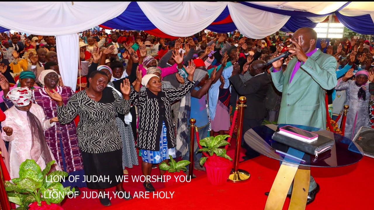Lion of Judah, we worship You