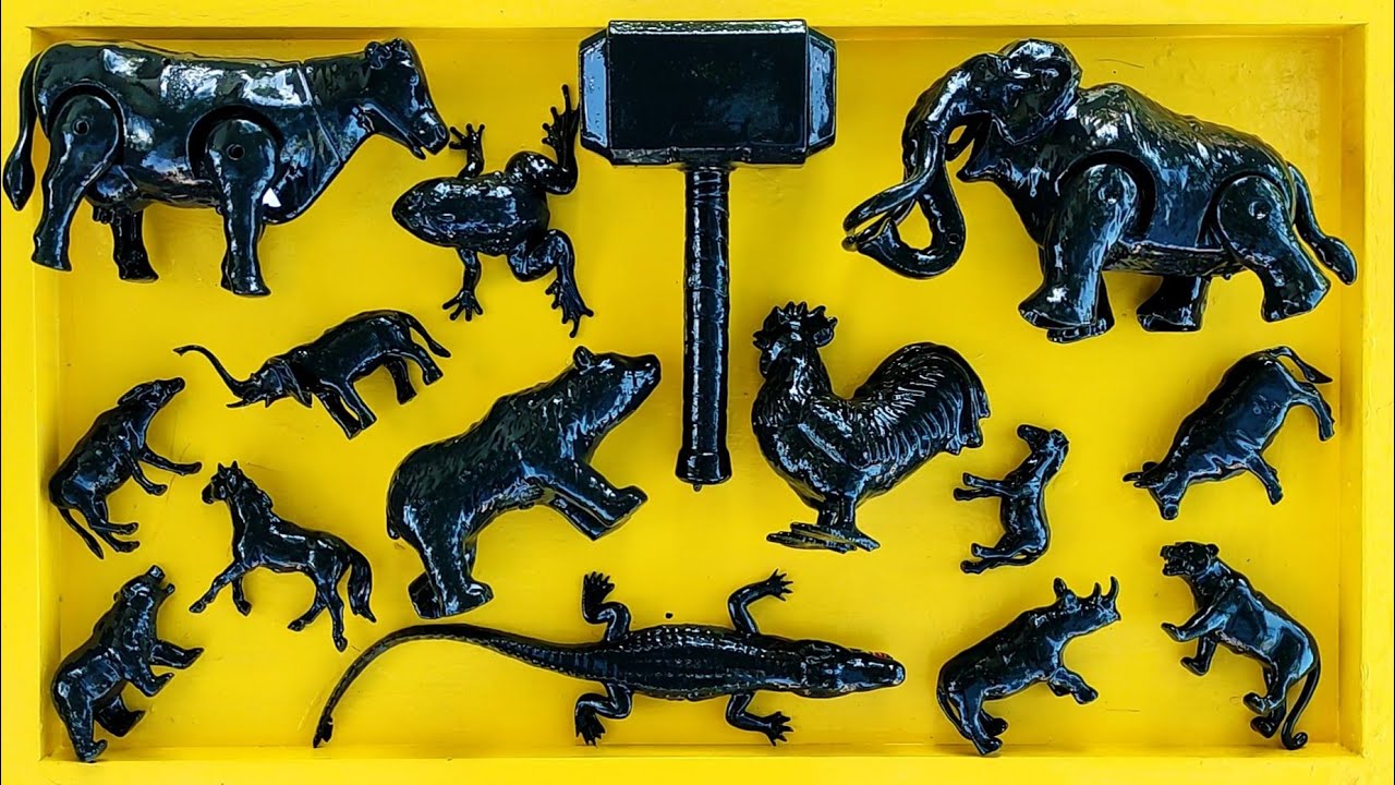 Membersihkan mainan hewan, sapi, bebek, angsa, ayam, gajah, singa, unta, buaya, zebra, kangguru.