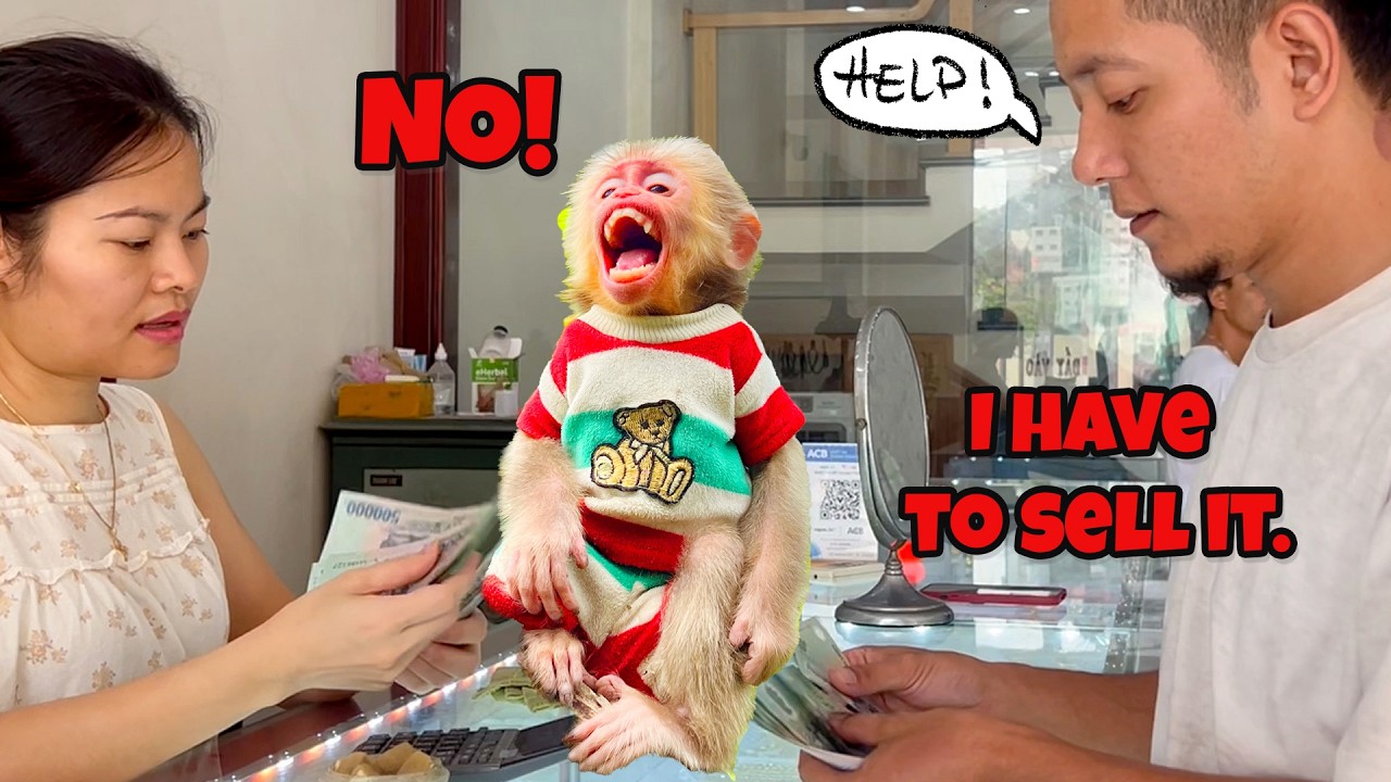 Мне пришлось продать его, другого выхода не было, Бобби был очень расстроен.