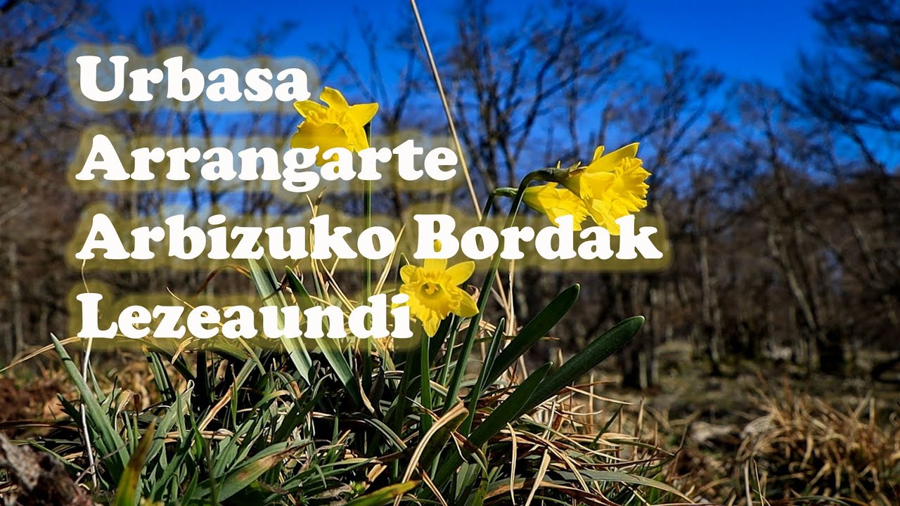 Arrangarte Arbizuko Bordak Lezeaundi Urbasa