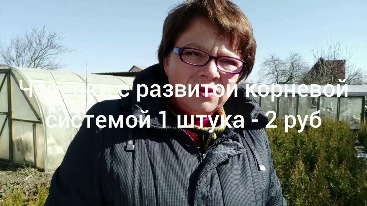 Питомник растений 