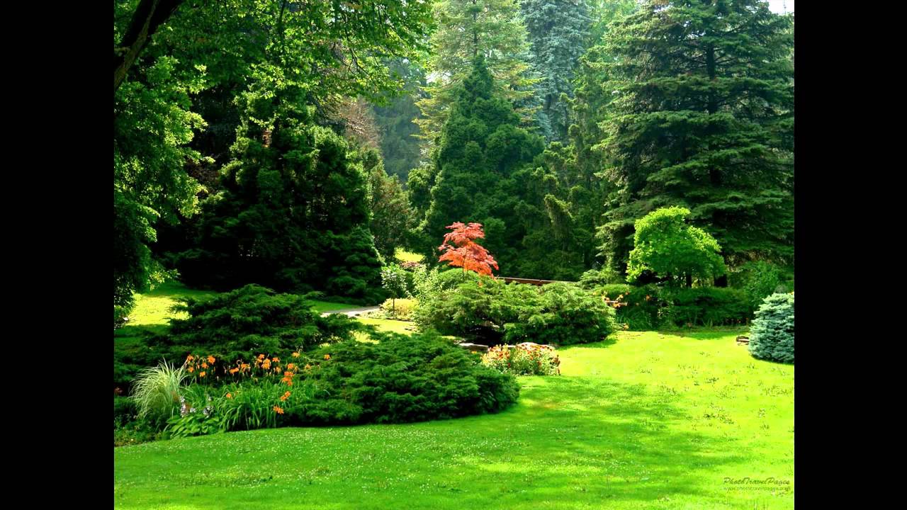 Jardins Proibidos - Paulo Gonzo [HD]