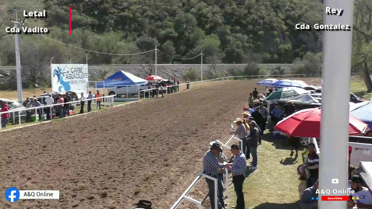 El Letal vs El Rey Carril Agua Caliente 01/02/2026