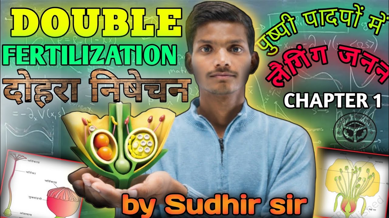 पुष्पी पादपों में दोहरा निषेचन | Double Fertilization in Flowering Plants | Class 12 Biology SUDHIR 