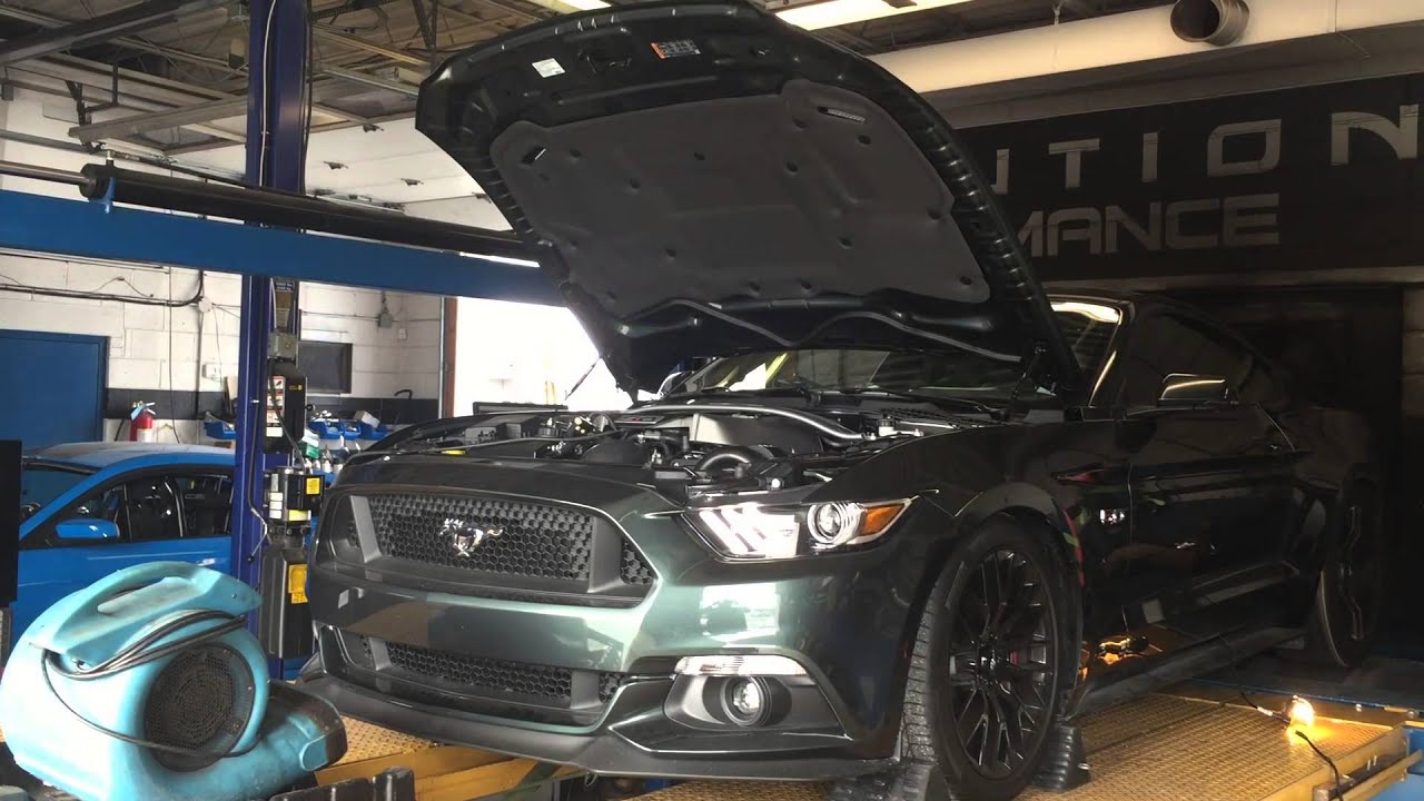 2015 Mustang GT Makes HUGE Power with ProCharger HO Kit