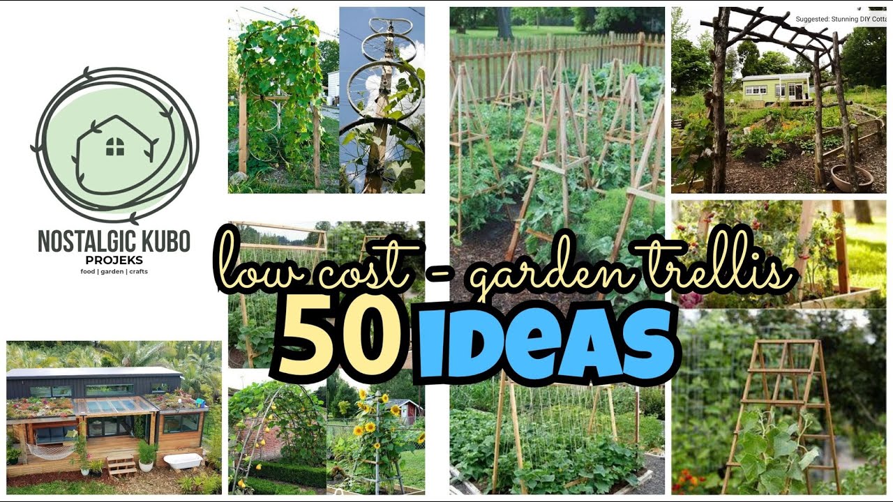 50 Low Cost - Garden Trellis Ideas | Spend no say Kubo
